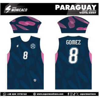 CONCEPTO PARAGUAY 3