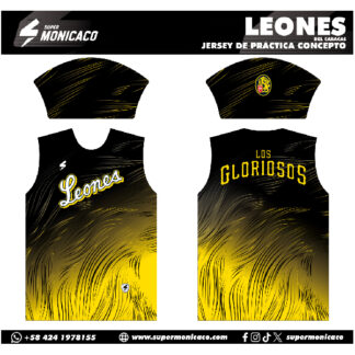 LEONES DEL CARACAS CONCEPTO 2